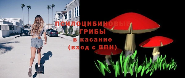 мяу мяу мука Абинск