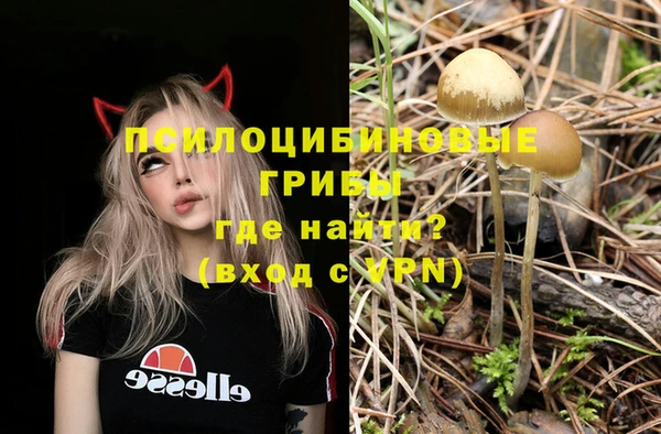 мяу мяу мука Абинск